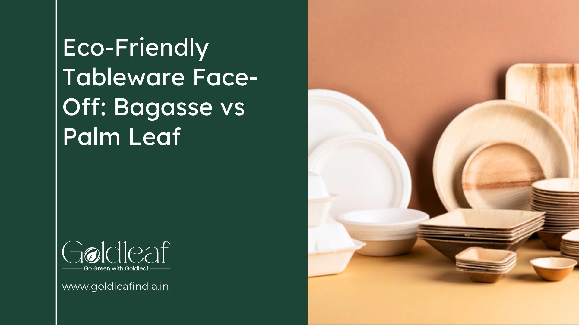 Bagasse vs Palm Leaf