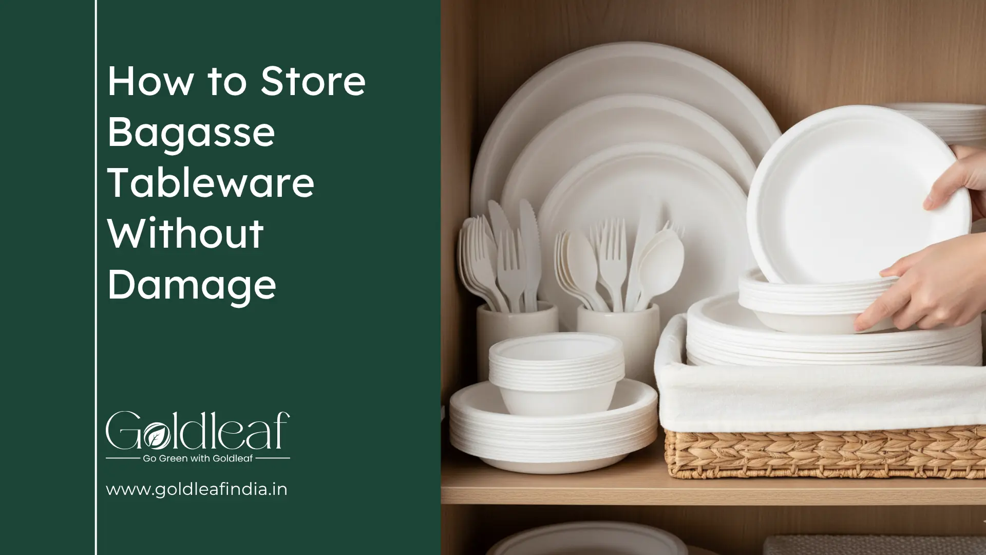 How to Store Bagasse Tableware Without Damage